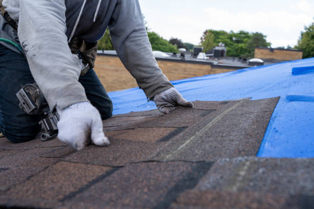 Best Roof Gutter Cleaning  in Colwich, KS